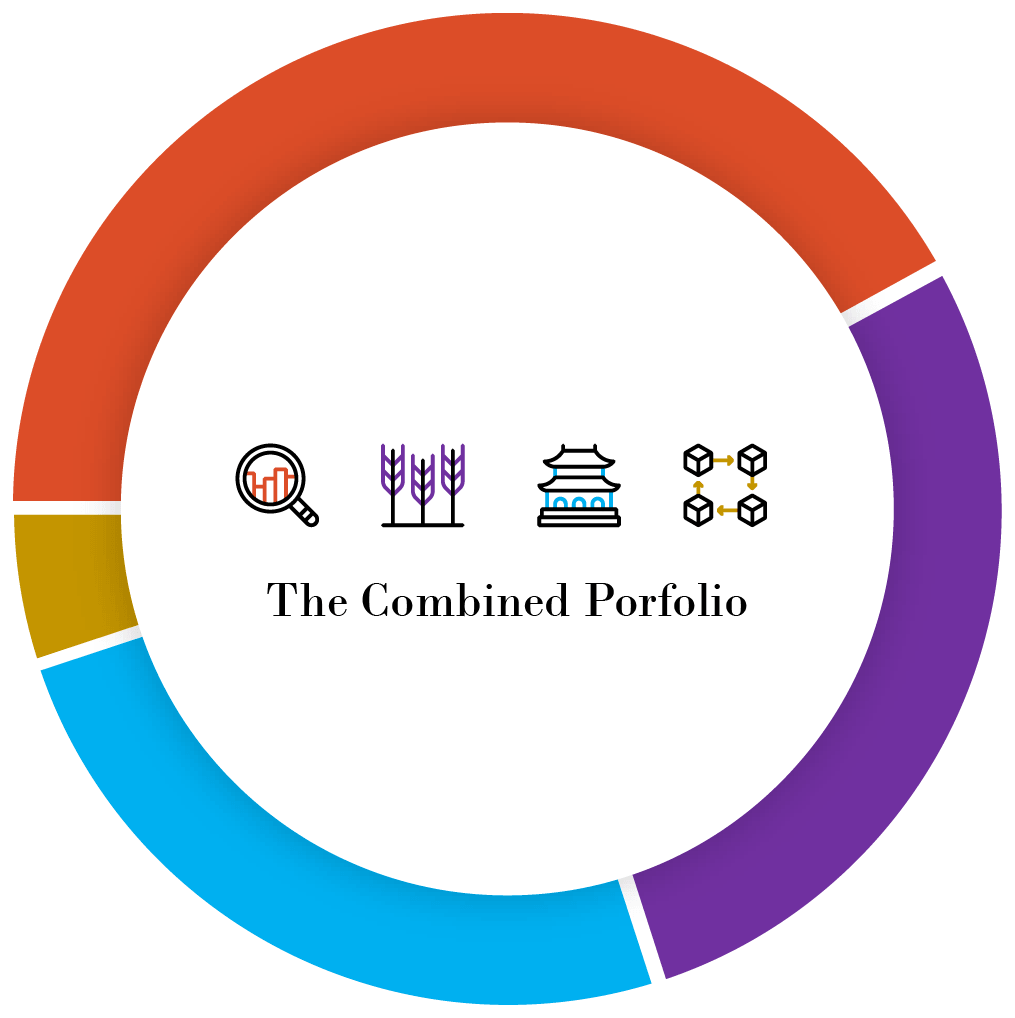 The Combined Portfolio
